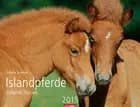 Islandspferde - Icelandic Horses Calendar 2015
