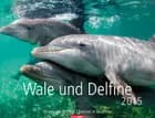 Wale und Delfine - Whales and Dolphins Calendar 2015