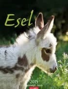Esel - Donkeys Calendar 2015