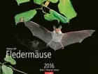 Fledermäuse - Bats 2016