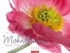 Mohnblumen - Poppies 2016