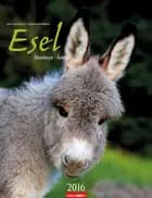 Esel - Donkeys 2016