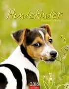 Hundekinder - Puppies 2016