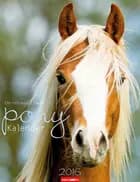 Pony Kalender 2016