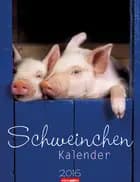 Schweinchen Kalender - Piglets Calendar 2016