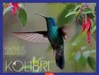 Kolibri - Hummingbird 2016