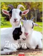 Ziegen Kalender - Goats 2016