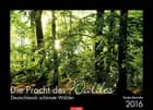 Die Pracht des Waldes - The Splendor of the Woods 2016