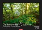 Die Pracht des Waldes - The Splendor of the Woods 2017
