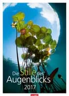 Die Stille des Augenblicks 2017
