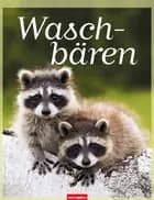 Waschbären - Piglets 2017