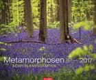 Metamorphosen - Metamorphoses Body Landscapes 2017
