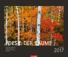 Poesie der Bäume - Trees 2017