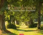 Unter Baumkronen - Shady Avenues 2017