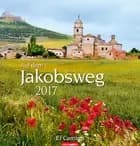 Auf dem Jakobsweg - The Route of St. James 2017