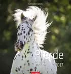 Pferde - Horses 2017