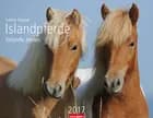 Islandpferde - Icelandic Horses 2017