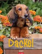 Dackel - Dachshunds 2017