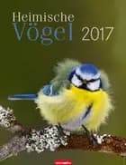 Heimische Vögel - Birds 2017