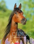 Pferde - Schönheit und Eleganz - Horses 2017