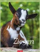 Ziegen - Goats 2017