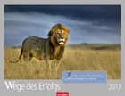 Wege des Erfolgs - Success 2017