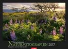 Die schönsten Naturfotografien - Nature Photography 2017