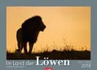 Im Land der Löwen 2017