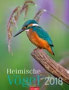 Heimische Vögel Kalender 2018