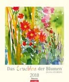 Das Leuchten der Blumen 2018 Kalender