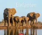 Elefanten 2018 Kalender
