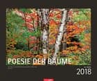 Poesie der Bäume 2018 Kalender