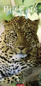 Big Cats 2018 Kalender