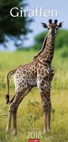 Giraffen 2018 Kalender