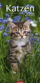 Katzen 2018 Kalender