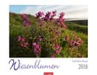 Wiesenblumen 2018 Kalender