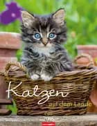 Katzen auf dem Lande 2018 Kalender