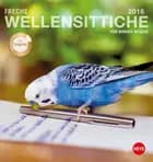 Wellensittiche Postkartenkalender 2016