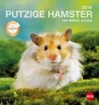 Hamster Postkartenkalender 2016
