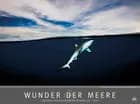 Wunder der Meere 2016
