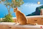 Griechische Katzen - Unter der Sonne des Südens 2016