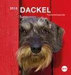Dackel Postkartenkalender 2016