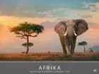 Afrika 2017