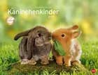 Kaninchenkinder Posterkalender 2017