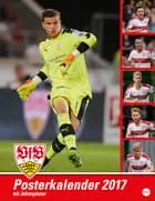 VfB Stuttgart Posterkalender 2017