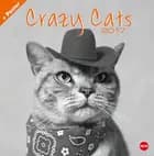 Crazy Cats Posterkalender 2017