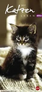 Whiskas Katzenleben 2017