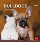 Bulldogs Postkortkalender 2017