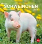 Süße Schweinchen Postkortkalender 2017