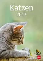 Katzen 2017